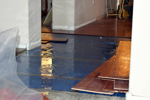 Professional Burst Pipe Cleanup technician working in Danforth, ME